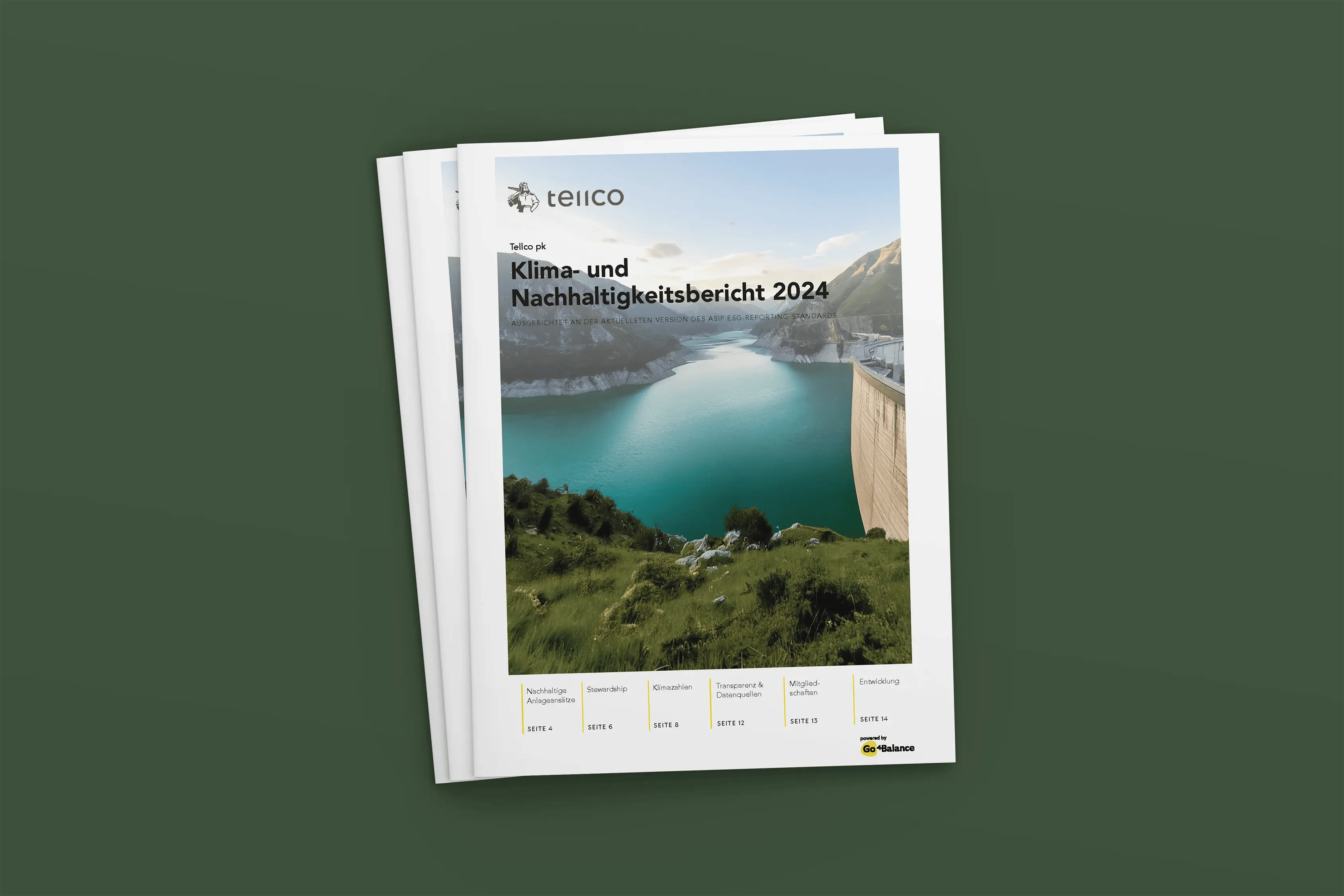 Tellco pk - Nachhaltigkeitsbericht 2024